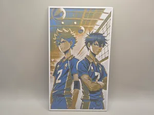 Haikyu!! - Hinata and Kageyama