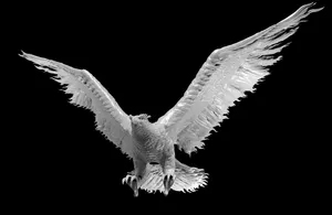 Phoenix in Flight
