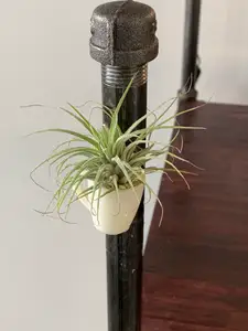 Coffee Mug Magnet / Air-plant Holder