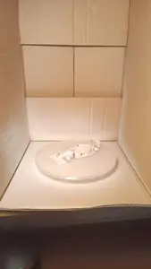 Revolving table for painting
