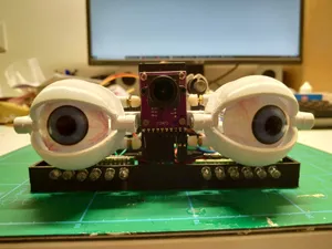 Motion Follow Eye Animatronics