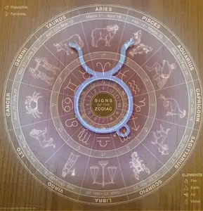 Signs of the Zodiac (keychains included)