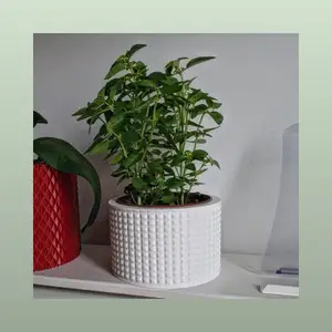 Vase Pot Planter Cachepot 2