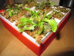 Modular, Scalable Bottom-Watering Plant Pot