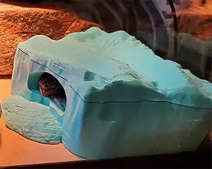 False-Rock Reptile Humid Hide