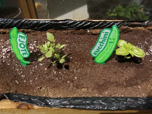 Vegetables at home identifier