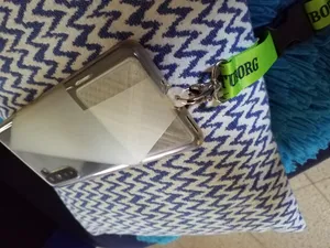 Anti-Theft Phone Tag