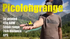 Picolongrange - tiny FPV drone with GPS