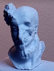Marus Aurelius Skull Bust Remix