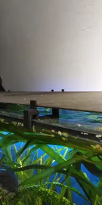 Aquarium Glass cover holder