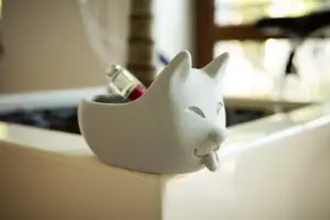 Cute dog bowl