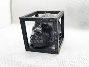 Captured Rock / Rock-in-a-Box - Fun twist on the classic captured ball