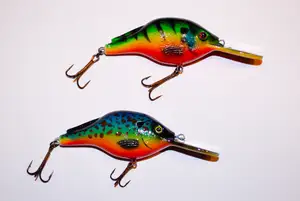 Crankbait Fishing Lure