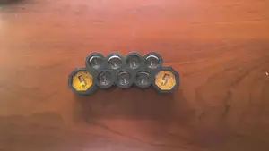 Gloomhaven Coin Organizer