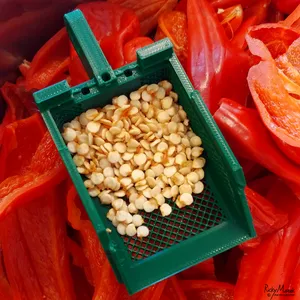 Seeds Drying Container