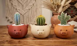 Geometric Pink Pig Planter