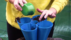Strawberry Planter