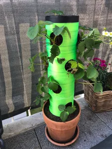 Strawberry planter
