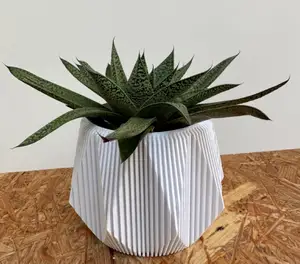 Geometric Ribbed Pot - Vase Mode