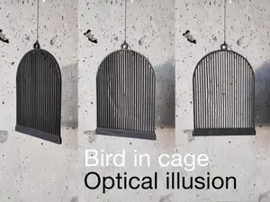 Bird in cage. Optical illusion