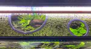Floating Aquarium Ring