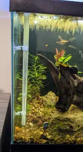Aquarium Feeding Tube