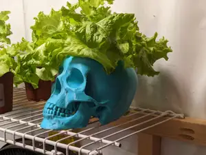 Skull Planter