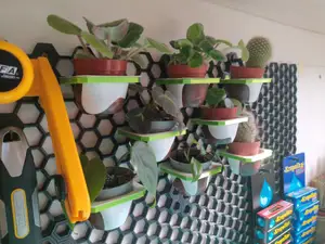 Honeycomb Wall Planter Holder for Baby Plants