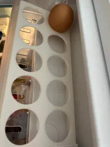 Egg Storage