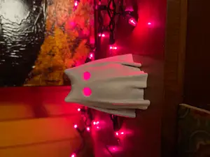 Cute Cat Ghost Hollow - Now with Accessories