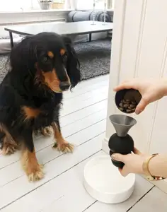 Kong dog food funnel