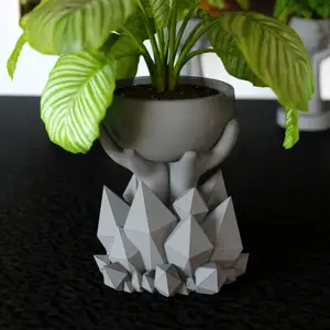 Hands holding flower pots of crystals