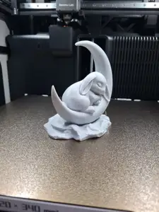 Sleeping Bunny on the Moon