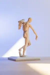 Anatomical model – écorché