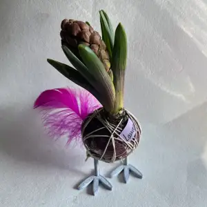 Flower bulb holder (chicken legs)