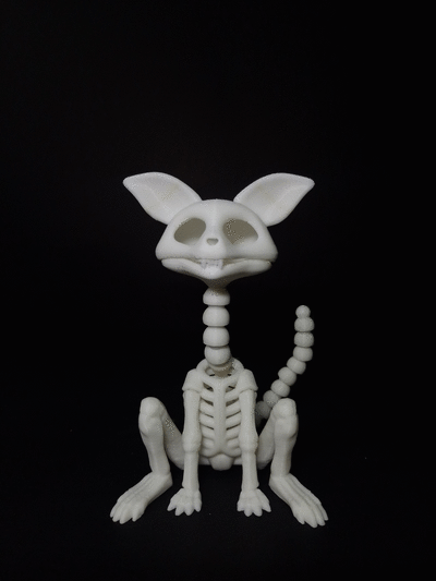 Flexible Cat Skeleton