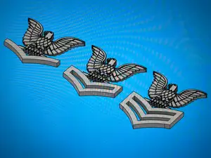 U.S. Navy - Petty Officers - 3rd, 2nd, 1st Class