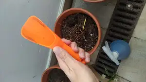 Pocket shovel/scoop for gardening.