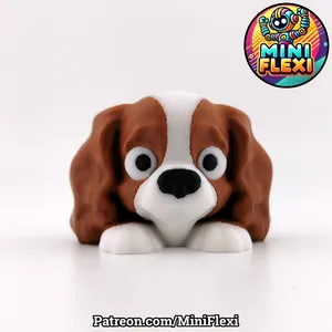 Mini Flexi Cavalier King Charles Spaniel