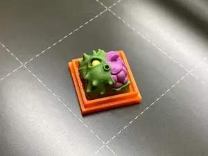 Artisan Keycap Box