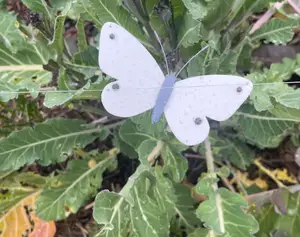 Cabbage Moth Butterfly Scarecrow Decoy (Pieris rapae)