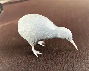 Kiwi Bird!