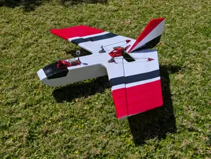 Strange Bird SB29 Forward Swept Wing FPV Plane with Landing Gear