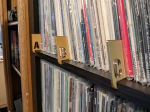 Vinyl Record Dividers