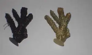 Tree shape Coral with base for easy print