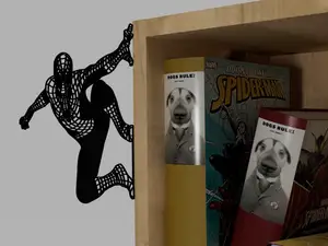 Spiderman on the wall