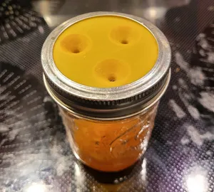Fruit Fly Trap