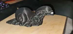 Xenomorph Snail / SNAILIEN