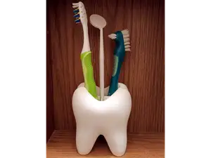 Toothbrush Holder Tooth
