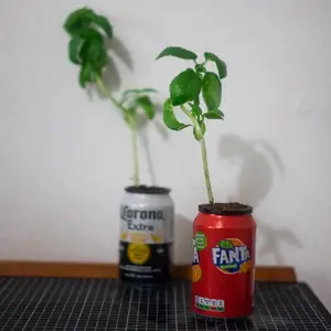 Self Watering Plant Pot with 330ml Drinks Can